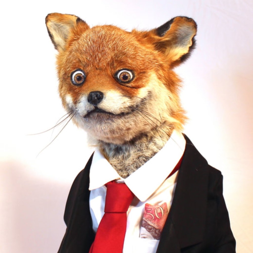 Meet your Posher, Michael